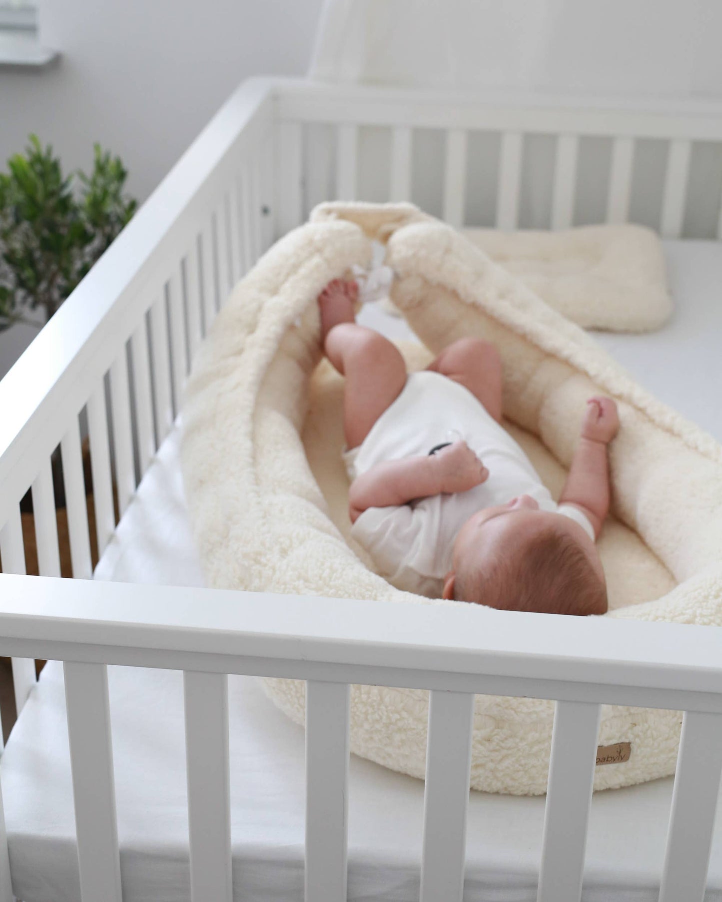 All Teddy babynest - 2 colors babyly: All teddy cream